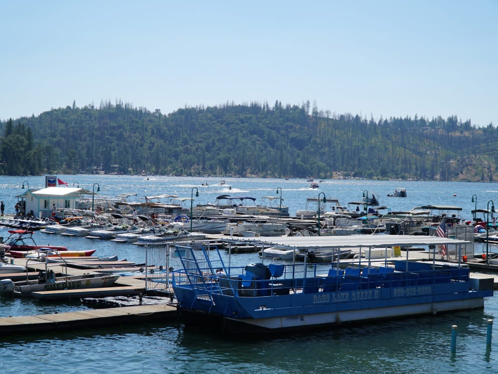 boat-rentals-and-more