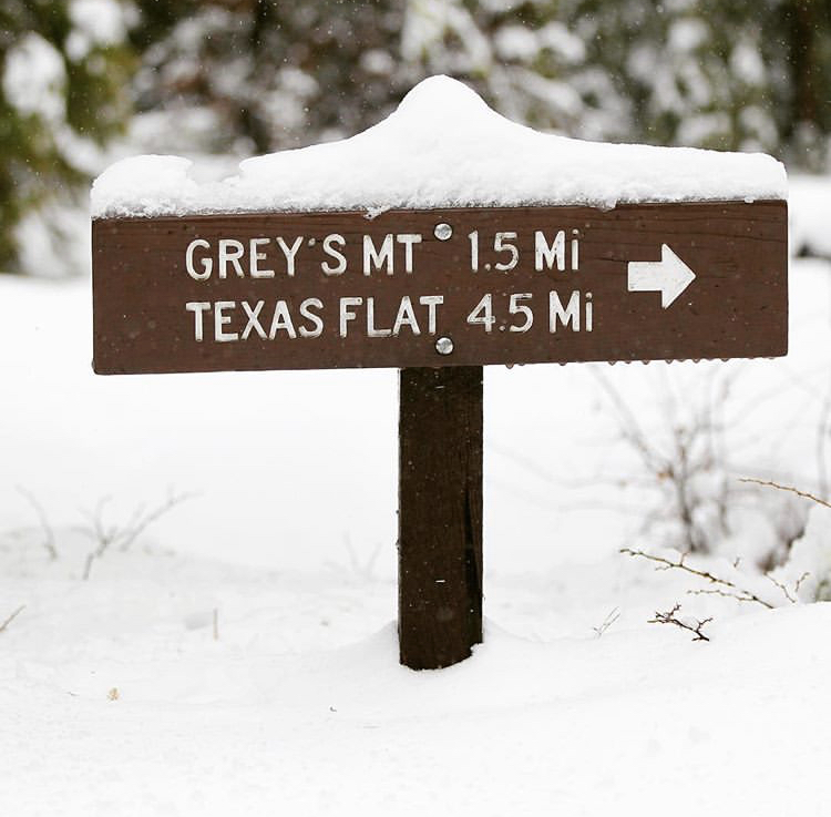 Ways to Enjoy the Snow in Bass Lake