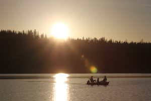 Fishing in the Area