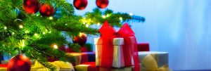 Holiday Gift Guide for the Nature Lovers in Your Life